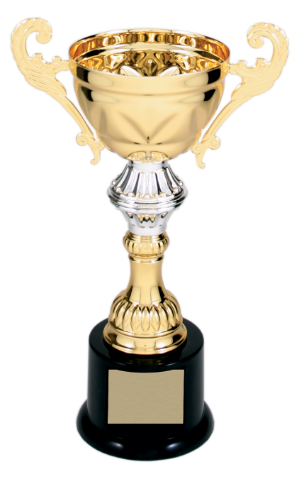 Gold Metal Corporate Cup Trophy on a Black Marble Base