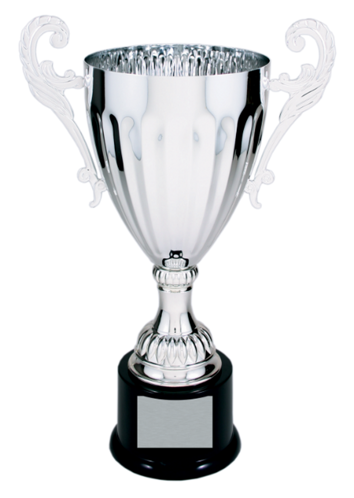 Silver Metal Corproate Cup Trophy on a Black Plastic Base