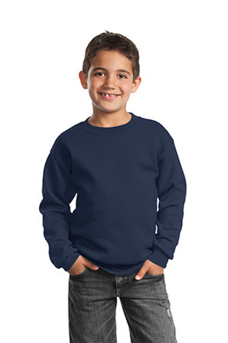 Youth Core Fleece Crewneck Sweatshirt