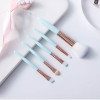 5Pcs Makeup Brushes Set Eye Shadow Eyebrow Eyeliner Blush