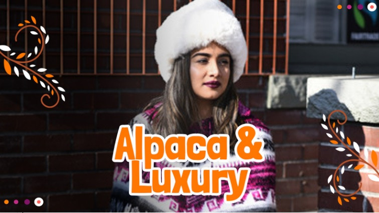 Alpaca Ponchos: The Ultimate Sustainable Luxury