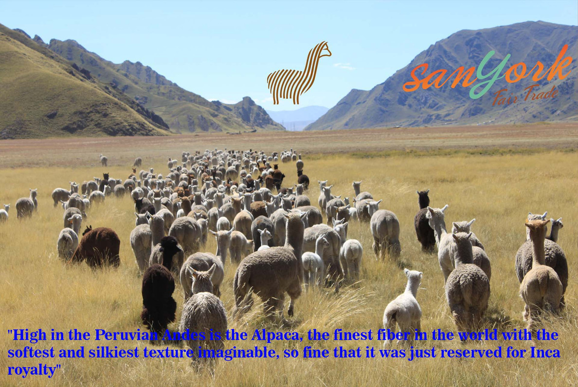 Bringing hope and dignity to artisans through fair equitable trade