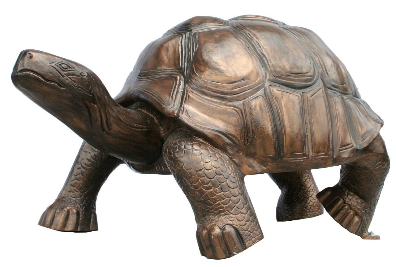 Wildlife Animal Galapagos Tortoise Statue