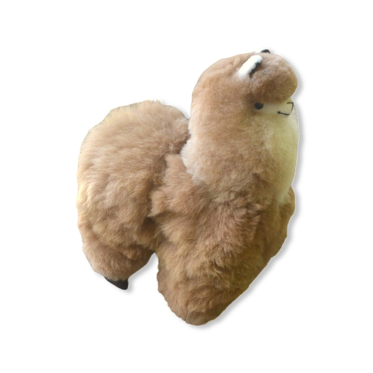 llama fur teddy bear