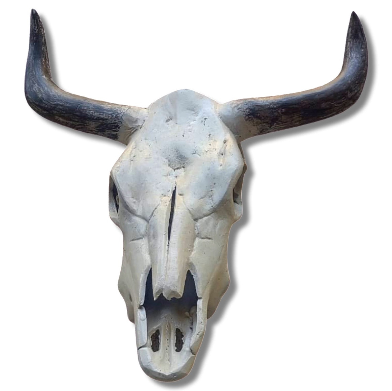 Natural Bone Color Painted Aluminum Skull Life Size 22