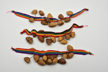 Seed Ceremonial Rattlers Peruvian Amazon Dance Instrument Percussion