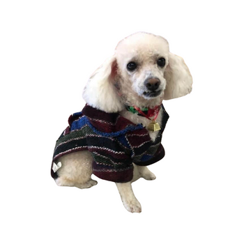 Baja Dog Hoodie Mexican Poncho Striped Genuine Original Baja Dog Hoodie Mexican Poncho Striped Genuine Original