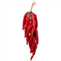 Natural Anaheim Red Chile Pods Ristra Garden Kitchen Decor Southwest