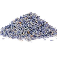 bulk culinary lavender for sale