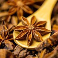 OliveNation Anise extract is made from star anise pods