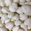 Yogurt Covered Raisins