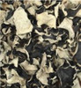 Whole Wood Ear Mushroom