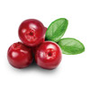 Cranberry Extract