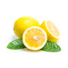 Terpeneless Lemon Extract