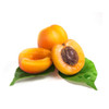 Apricot Extract
