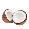 Coconut Flavor, Premium - TTB (allergen free)