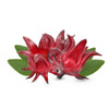 Hibiscus Flavor