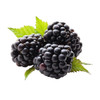 Black Raspberry Flavor Fountain