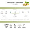Ginger Extract Powder, Organic