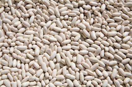 Organic Cannellini Beans