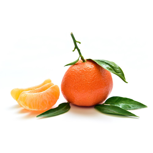 Tangerine Extract - TTB