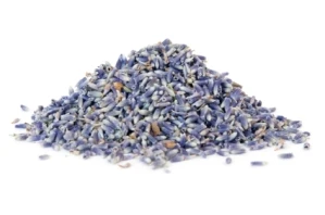 Culinary Lavender