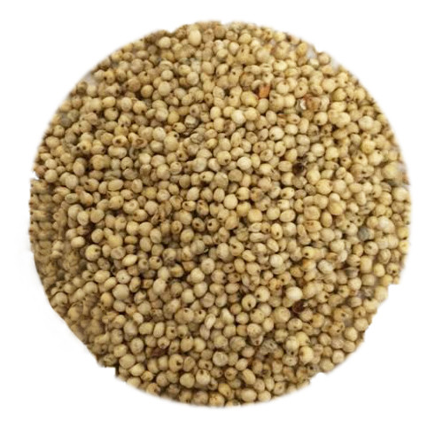 Sorghum Seed (popping)