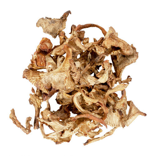 Chanterelle Mushrooms