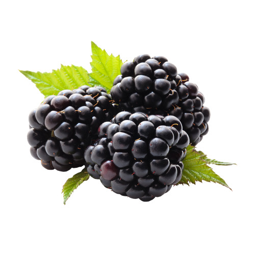 Black Raspberry Flavor Fountain