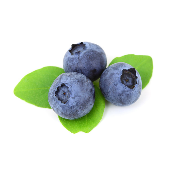 Blueberry Emulsion