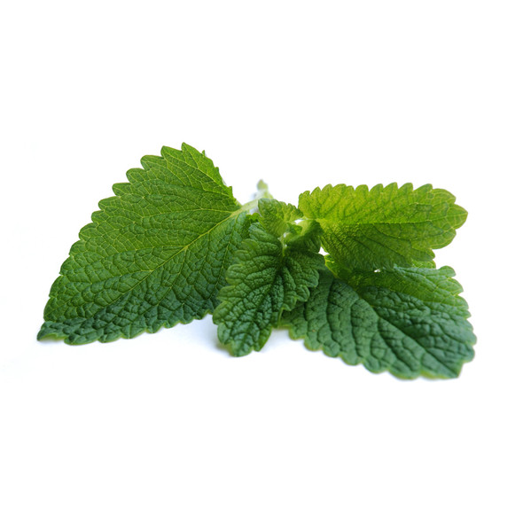 Spearmint
