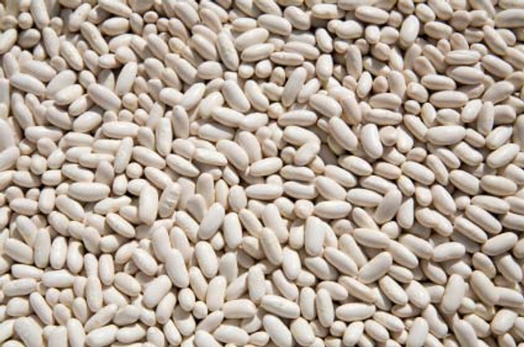 Organic Cannellini Beans