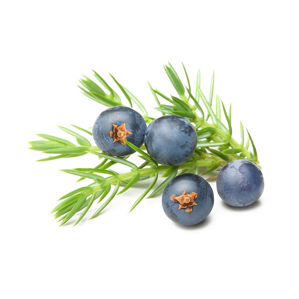 Juniper Flavor Extract