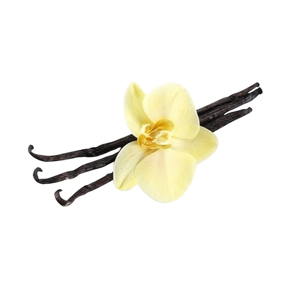 Pure Vanilla Extract, Organic 1-Fold