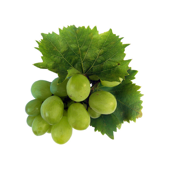 Grapes