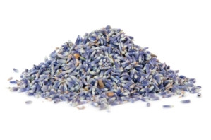 Lavender, Super Blue