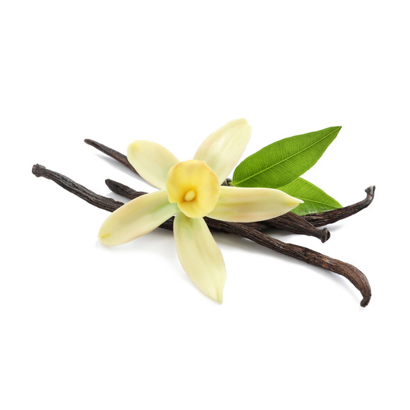 Vanilla