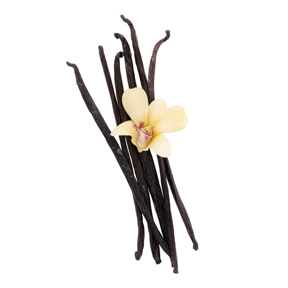 Vanilla
