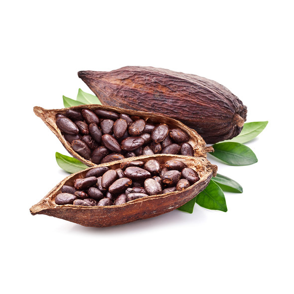 Cocoa Extract - TTB