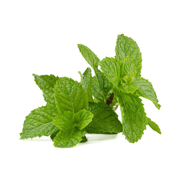 Peppermint Extract - TTB