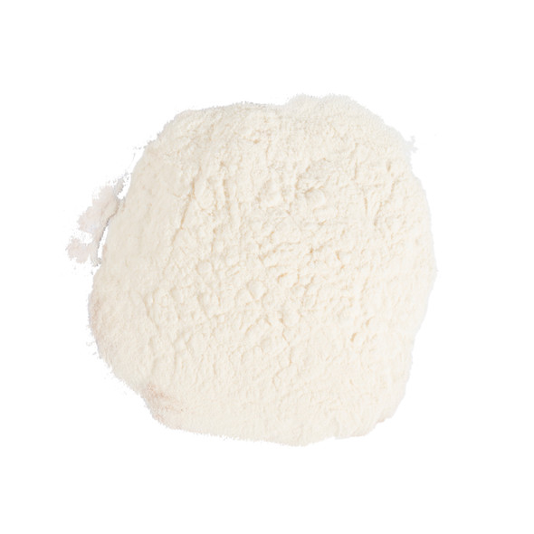 Blueberry Spray Dried Powder