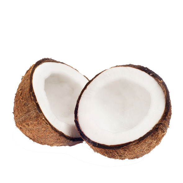 Coconut