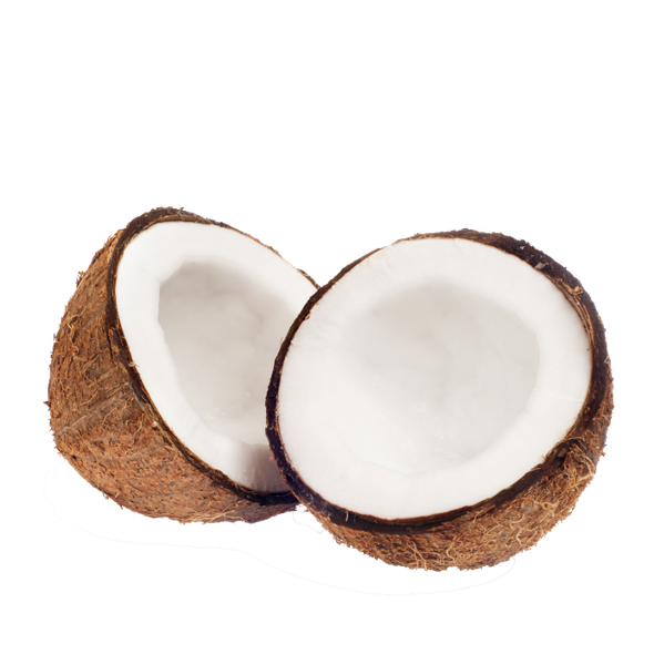 Coconut Flavor, Premium - TTB (allergen free)