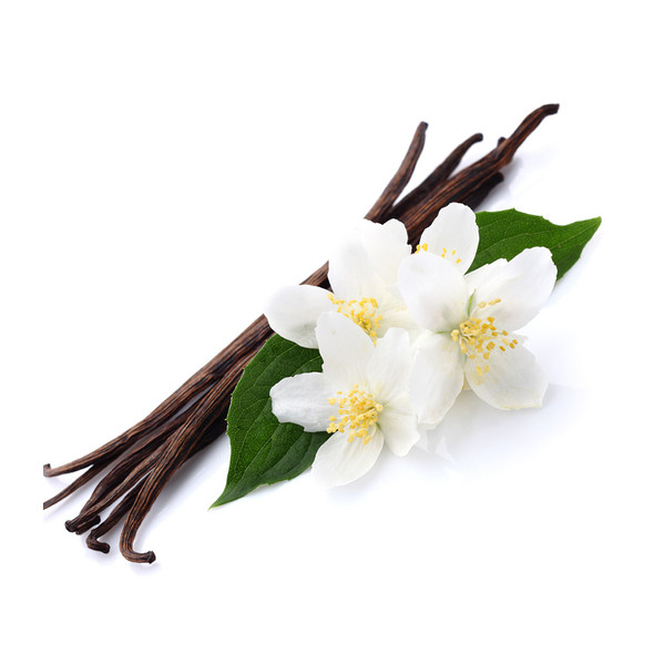Imitation Vanilla, Clear