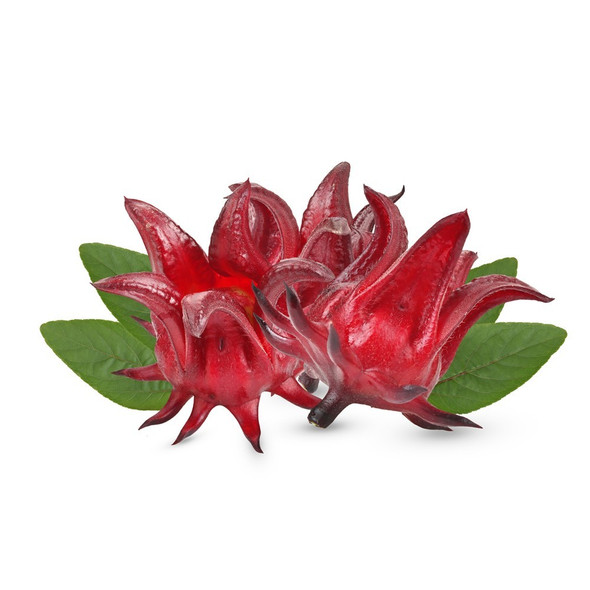 Hibiscus Flavor