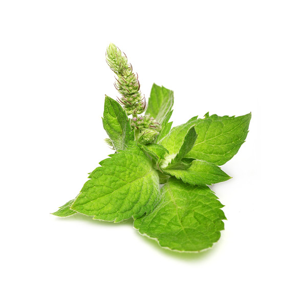 Peppermint Emulsion