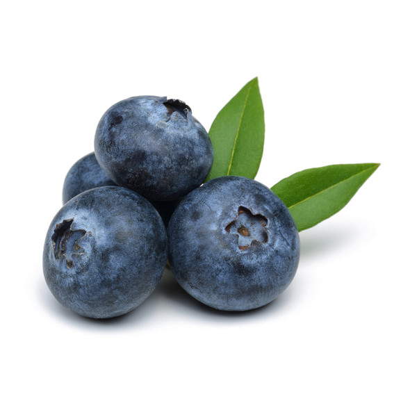 Blueberry Delight Flavor Fountain