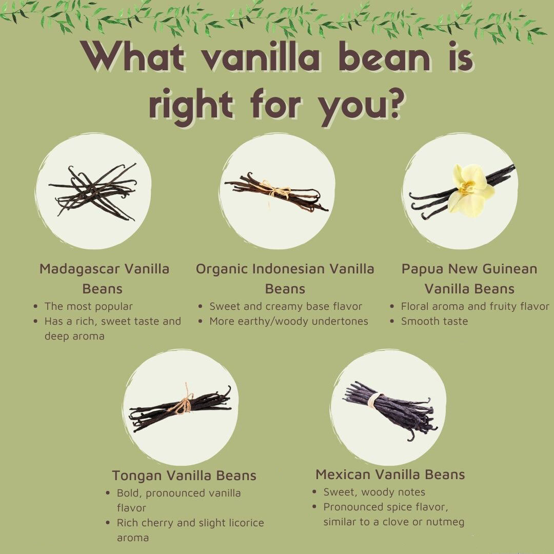 Vanilla Bean Varieties what is the difference between different vanilla bean types
