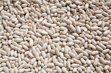 Organic Cannellini Beans