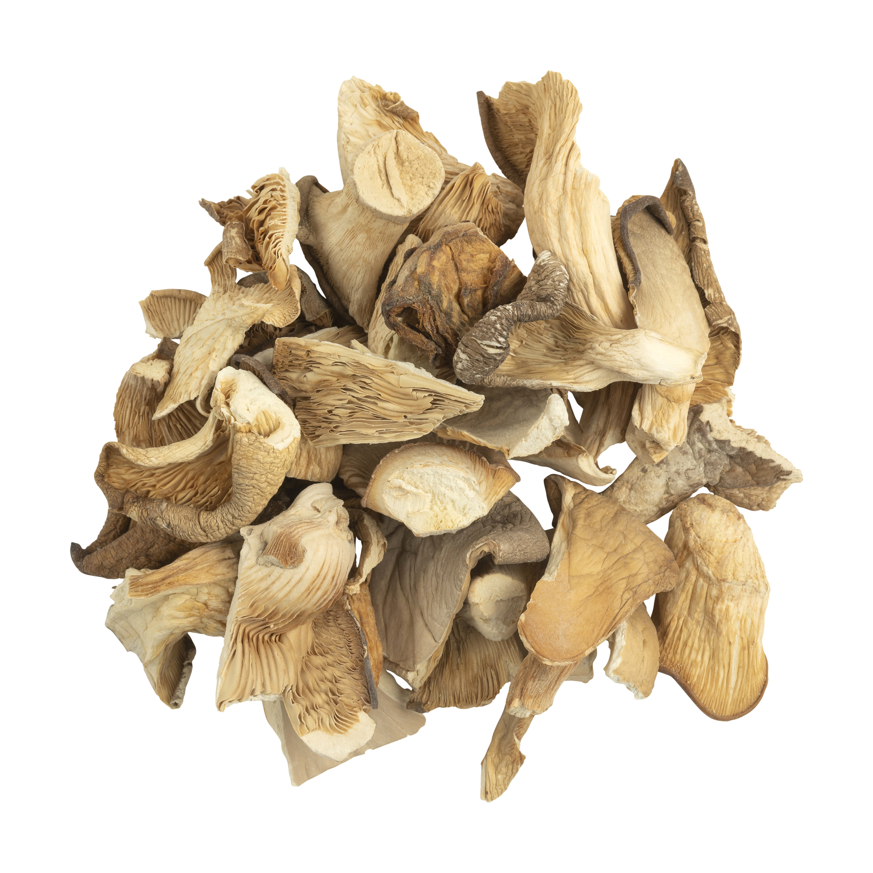 Organic Oyster Mushrooms
